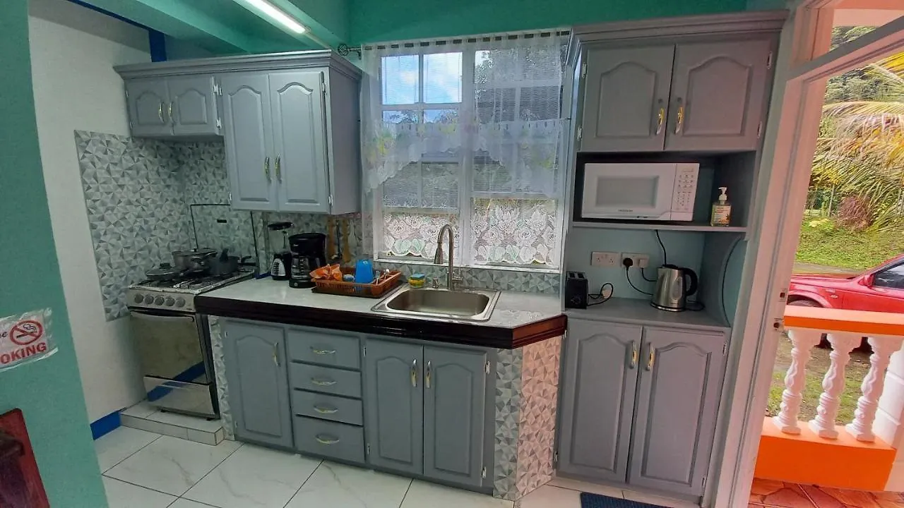 Cozy Vacation Retreat With Free Parking Apartman Roseau