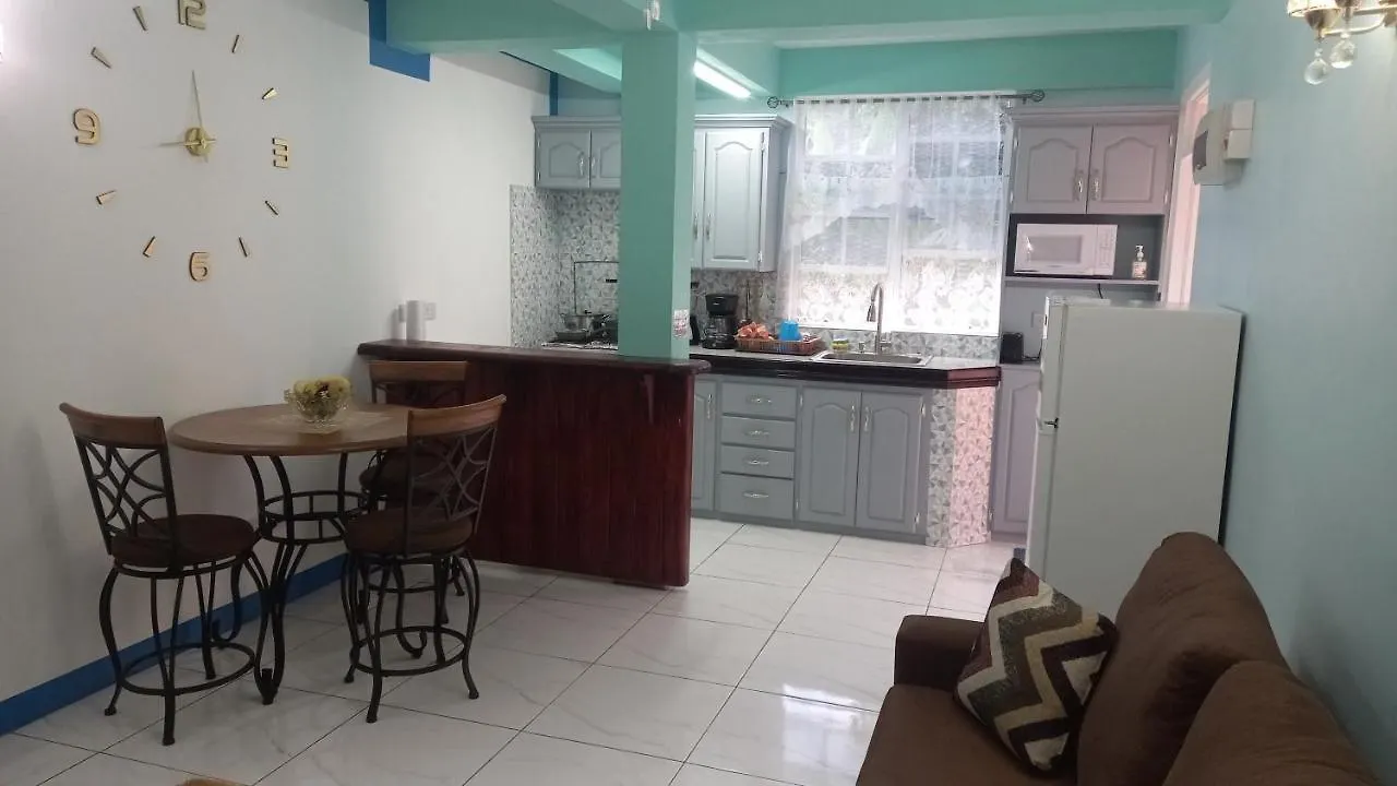 Cozy Vacation Retreat With Free Parking Apartment Roseau