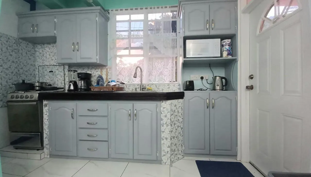 Cozy Vacation Retreat With Free Parking Apartman Roseau