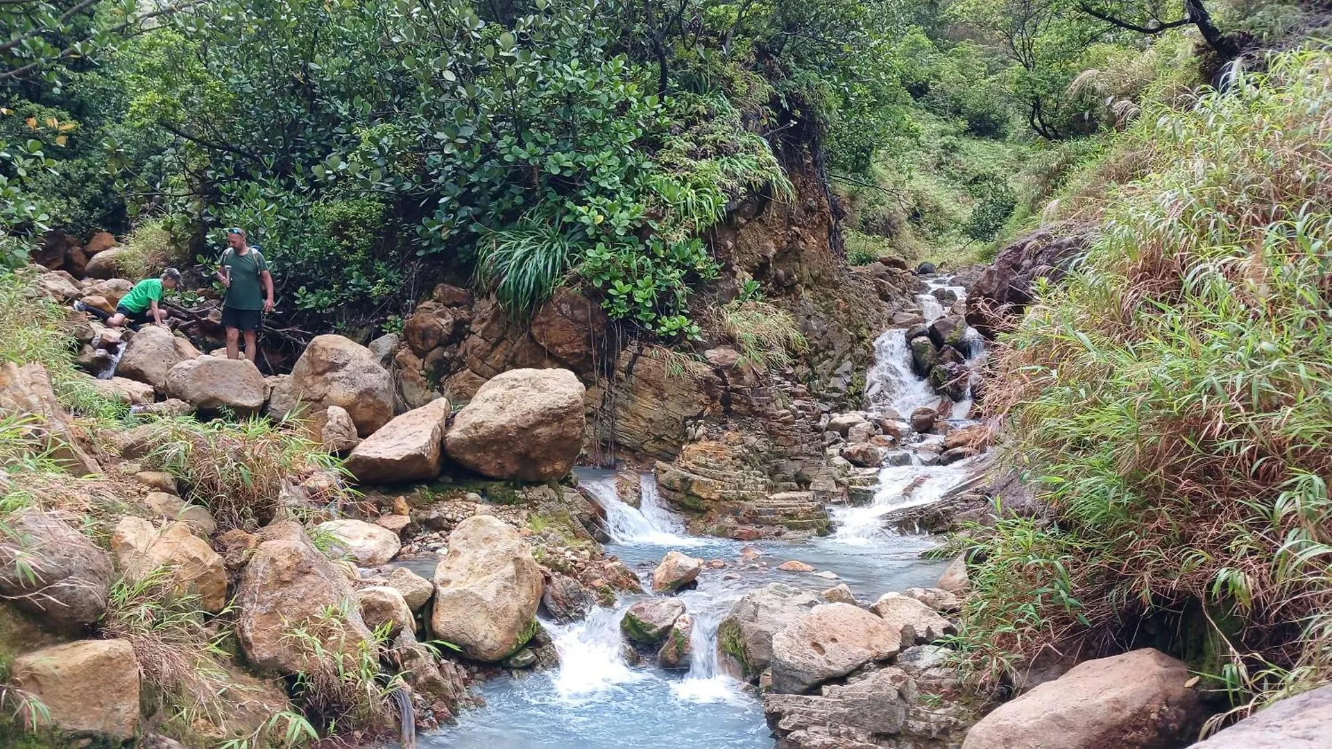 Cozy Vacation Retreat With Free Parking Apartment Roseau Dominica